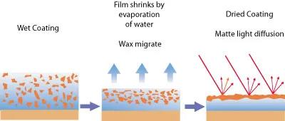 ��ʲô׌ˮ��Ϳ������ܚW�����ҵĚgӭ?