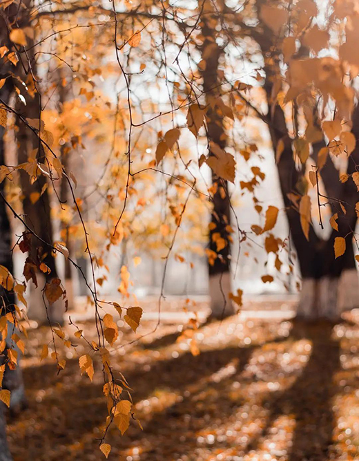 �����f�� | ������������ʰߔ�������