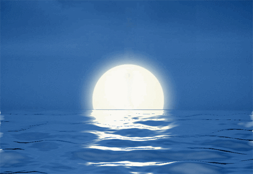 �P���T�I(y��) | ����ѹ�(ji��)�����ǐ�(��i)�Ěw;