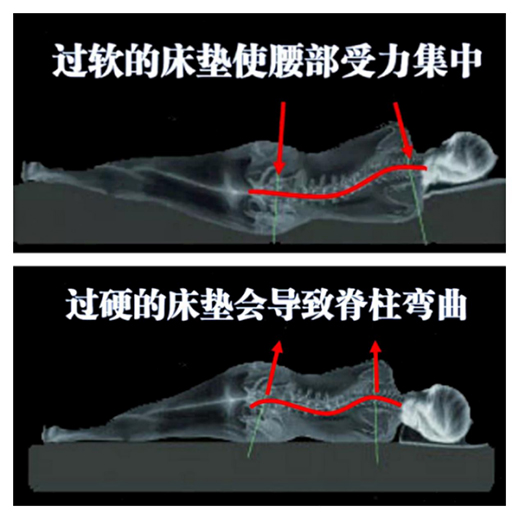 �����R����(y��u)�|(zh��)��˯�ߏ��ҵ��m���Լ��Ĵ��|�_ʼ