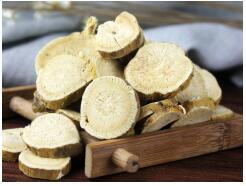 ����ĵ�һ֧���ࡪ���������