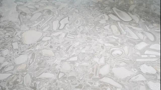 �W���Z��ϵ��ԏ���(gu��)������һ�ӵĿ��