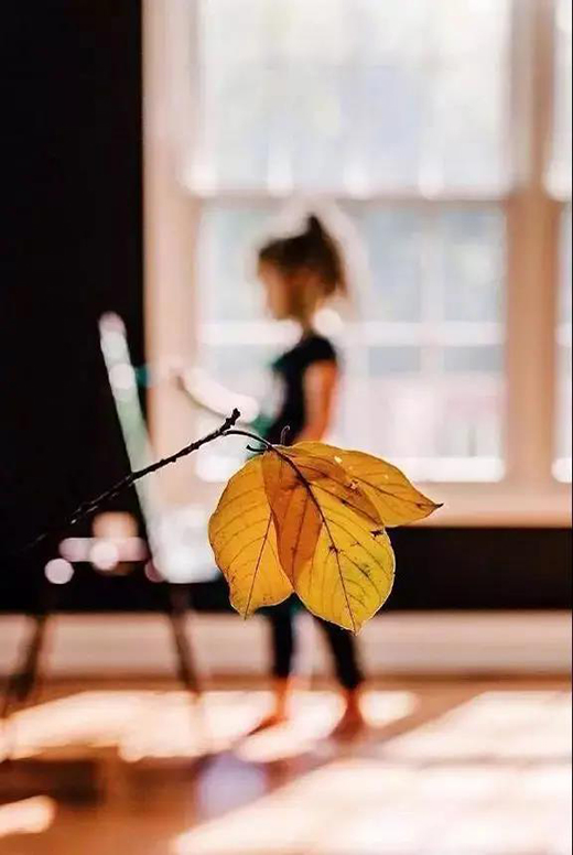 �Ƹ꿨�� | ����ů����׌�@������������