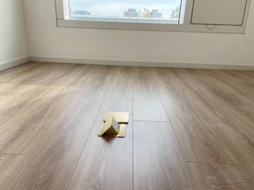 �_��������2022�������W�����鶬�W�尲ȫ��늱��{�o��