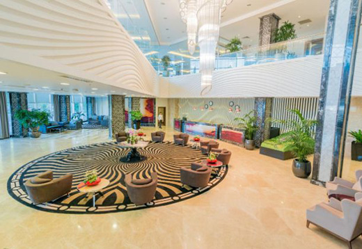 ��Ȼ��ɫ�^������ľ����ľ���չ�F(xi��n)ľ�|(zh��)���