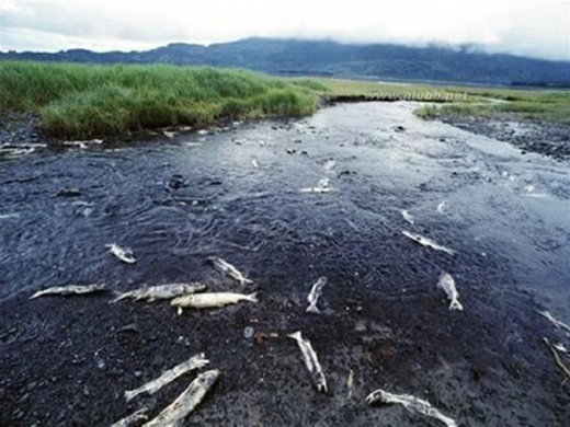 ���ɶ๦���ƄӃ�ˮ������Ľ�����ˮ����