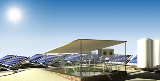 ̫�(y��ng)��늳ذ��ڰl(f��)늵�ͬ�r(sh��)���ֲ��?