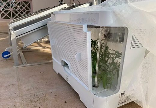 太陽能電池板在發(fā)電的同時(shí)灌溉植物?