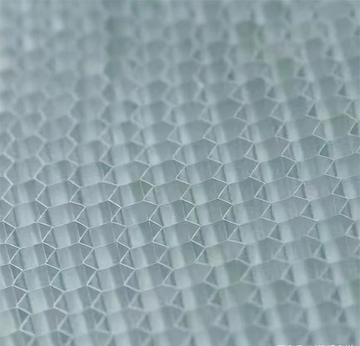 ֪������Ʒ��ɭ�������N������ĕr��������