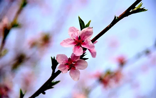 �������T�I(y��)ح����է��(d��ng)���f�����C(j��)��Ȼ