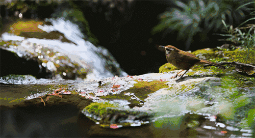 �������T�I(y��)ح����է��(d��ng)���f�����C(j��)��Ȼ