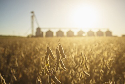 �󶹃r�񱩝q���ƽ�10���λ!�B(y��ng)�i��I(y��)�سɱ���������Ҫ�p����