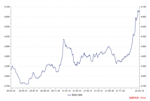 大豆價(jià)格暴漲，逼近10年高位!養(yǎng)豬企業(yè)控成本，二師兄要減餐了