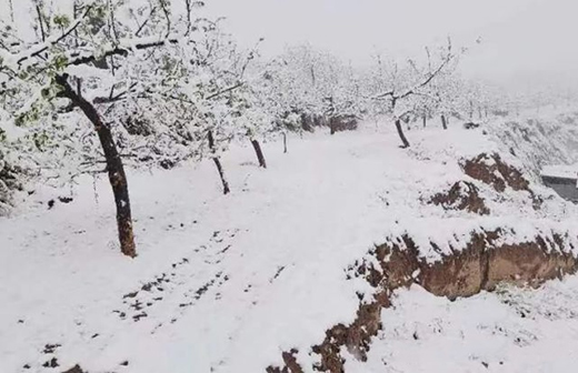 �՚�Դ��Ȫ��ã����춬���B(y��ng)�����w�!