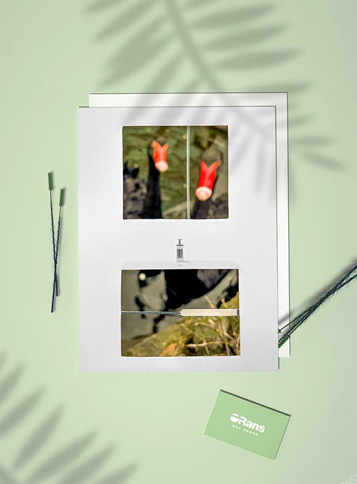 歐路莎衛(wèi)浴：留住春日的絢爛，迎接盛夏的繁華