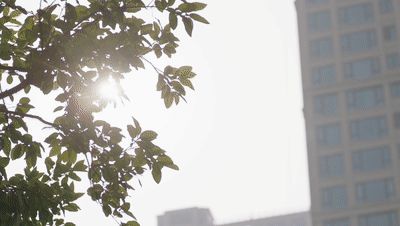 Ξʯ�����i����������������ܡ��������P��!