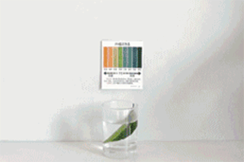 ��؛ | ���ҿƼ���ɳ�l(f��)��7��(y��u)���㶼�˽��?