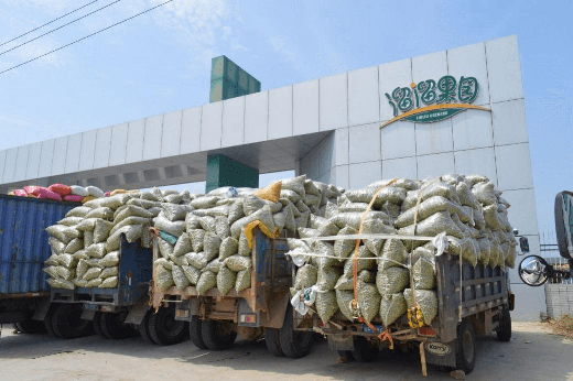 從“市場思維”到“品牌思維”，溜溜梅的成功絕非偶然