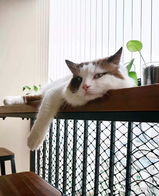 ��܎ȫ���T(m��n)���(y��ng)�_(t��i)�๦���O(sh��)Ӌ(j��)����������N�N����