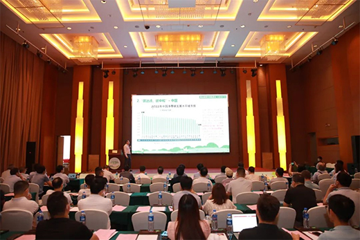 �����ИI(y��)��Ό�(sh��)�F(xi��n)���p̼��Ŀ��(bi��o)?�@��(ch��ng)��ӑ��(hu��)����ɽС�����_(k��i)