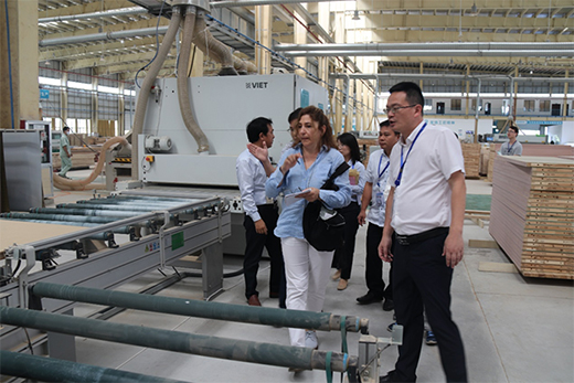 ���(y��ng)ˮ���c����ľ�I(y��)�_(d��)�ɑ�(zh��n)�Ժ������������(l��i)�Gɫ������g!