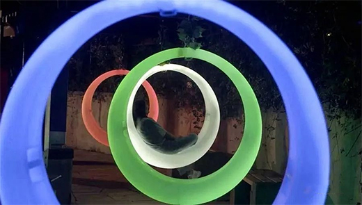 ���������c(di��n)���������̡�!���ҹ������ȫ������