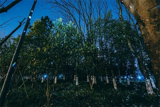 ���������c(di��n)���������̡�!���ҹ������ȫ������