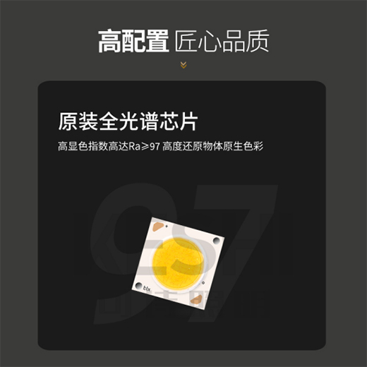 �����Ј����h���I����Ҫ�IKESHI��Ԋ����ȫ���V���?