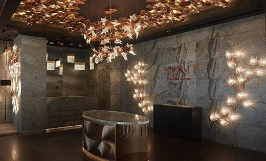 SERIP | �@�G���貟����������õ�ˇ�g(sh��)����