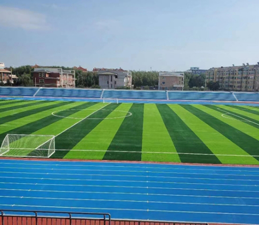 騰威跑道系列——預(yù)制型橡膠跑道