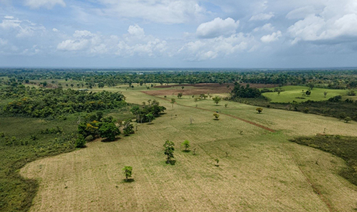 威能ecoTEC exclusive榮獲“綠點(diǎn)中國(guó)”年度案例，綠色設(shè)計(jì)助力舒適生活