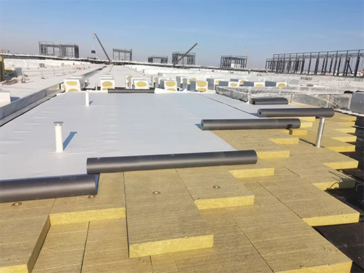 東方雨虹攜手奧迪一汽，共探綠色未來