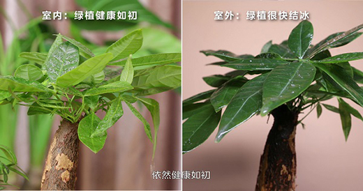 ���������������{(di��o)�O��Ӳ���Ɵ�����(zh��n):�����Ɵ�,׌����핿�׃ů��!