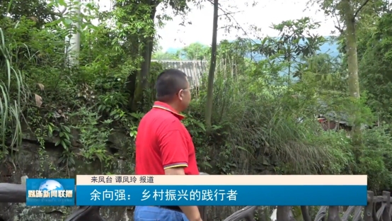 ����˷���ʩ�� | ����(qi��ng)��Ͷ�Y���B(t��i)���� �����l(xi��ng)�����d