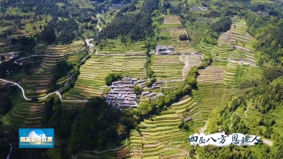 ����˷���ʩ�� | ����(qi��ng)��Ͷ�Y���B(t��i)���� �����l(xi��ng)�����d