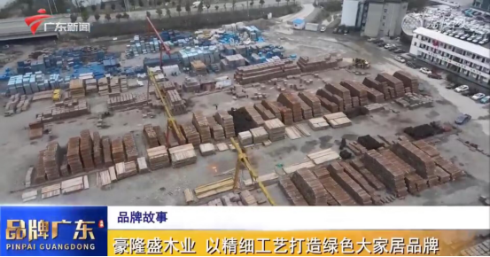 廣東電視臺(tái)重磅欄目《品牌廣東》，講述板芝福板材品牌故事