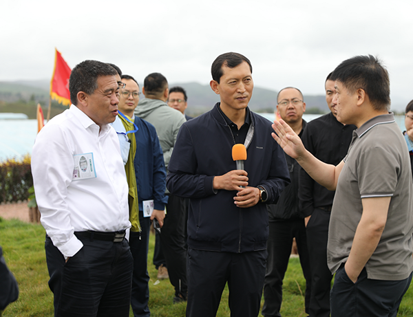 �y����I(y��)��ý�w�����조���Pɽ���^(q��)����Ʒ�������