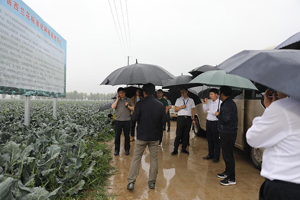 �y����I(y��)��ý�w�����조���Pɽ���^(q��)����Ʒ�������