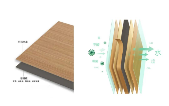 �Wҫ�Ͼ������Z�߶������԰�ĵđ�(y��ng)��֮·